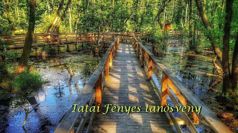 Fenyes-Tatai.jpg